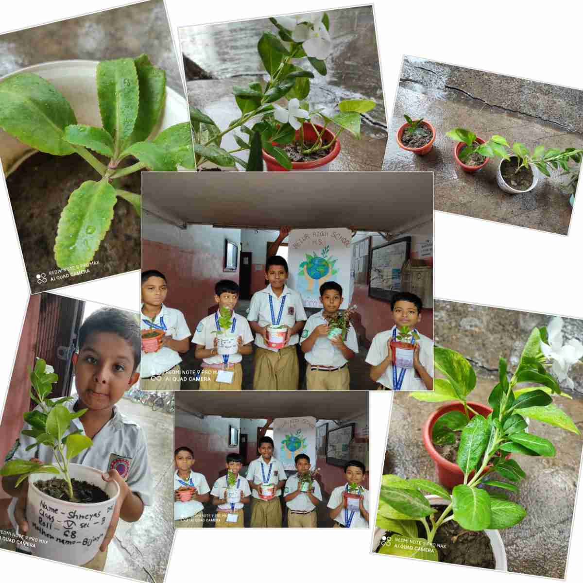 Eco Club Photo